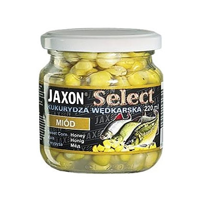 Kukurydza Jaxon Select - Mid
